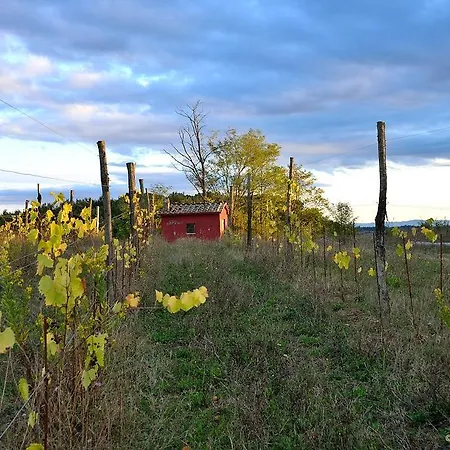 Gasthof Il Pozzo Della Citerna Castelnuovo Berardenga