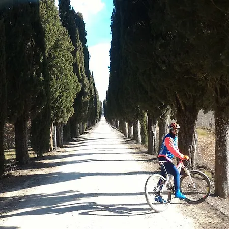 Gasthof Il Pozzo Della Citerna Castelnuovo Berardenga