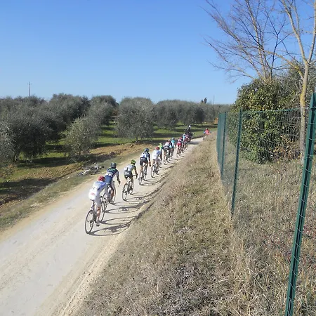 Πανσιόν Il Pozzo Della Citerna