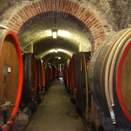 Il Pozzo Della Citerna Castelnuovo Berardenga